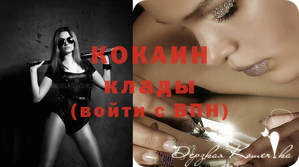 ПСИЛОЦИБИНОВЫЕ ГРИБЫ Абаза