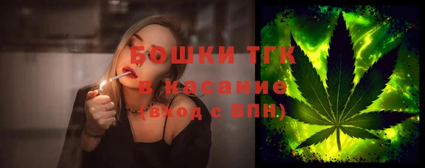 ПСИЛОЦИБИНОВЫЕ ГРИБЫ Абаза