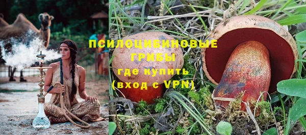 стаф Абдулино