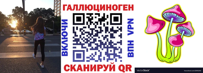 OMG tor  Лакинск  Галлюциногенные грибы GOLDEN TEACHER 